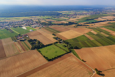 Paddock de Trakehner-Friedrich à Minfeld dans le département Rhénanie-Palatinat, Allemagne vu d'un drone