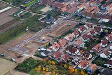 Vue aérienne de Nouvelle zone de développement en d. Jardinage à Erlenbach bei Kandel dans le département Rhénanie-Palatinat, Allemagne