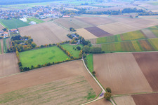 Vue aérienne de Paddock de Trakehner-Friedrich à Minfeld dans le département Rhénanie-Palatinat, Allemagne