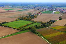 Paddock de Trakehner-Friedrich à Minfeld dans le département Rhénanie-Palatinat, Allemagne vue d'en haut