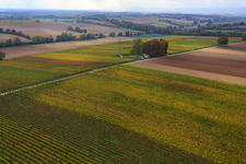 Photographie aérienne de Chemin élevé à Freckenfeld dans le département Rhénanie-Palatinat, Allemagne