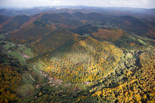 Vue aérienne de Paysage forestier et montagneux aux couleurs d'automne des Vosges du Nord à Windstein dans le département Bas Rhin, France