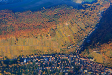 Vue aérienne de Vignoble Klingenberger dans les gorges de Seltenbach dans les feuilles d'automne le soir à Klingenberg am Main dans le département Bavière, Allemagne