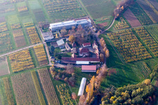 Vue aérienne de Ensemble immobilier de l'Institut Julius Kühn Rebforschungsanstalt Geilweilerhof à Siebeldingen dans le département Rhénanie-Palatinat, Allemagne