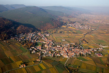 Vue aérienne de Vignobles sur le Haardtrand à Frankweiler dans le département Rhénanie-Palatinat, Allemagne
