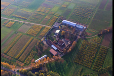 Vue aérienne de Institut JKI de sélection de raisins de Geilweilerhof à Siebeldingen dans le département Rhénanie-Palatinat, Allemagne