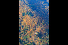 Vue aérienne de Maison des Amis de la Nature Kiesbuckel à Frankweiler dans le département Rhénanie-Palatinat, Allemagne