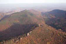 Vue aérienne de Ruines du château Anebos Jungturm et Scharfenberg à Leinsweiler dans le département Rhénanie-Palatinat, Allemagne