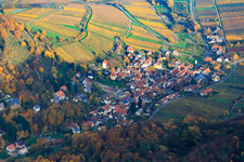 Vue aérienne de Ville viticole de l'ouest aux feuilles d'automne à Leinsweiler dans le département Rhénanie-Palatinat, Allemagne