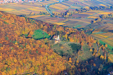 Vue aérienne de Slevogthof à Leinsweiler dans le département Rhénanie-Palatinat, Allemagne