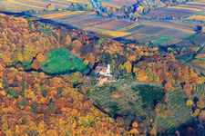 Vue aérienne de Slevogthof à Leinsweiler dans le département Rhénanie-Palatinat, Allemagne