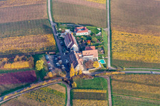 Vue aérienne de Cour à Leinsweiler dans le département Rhénanie-Palatinat, Allemagne