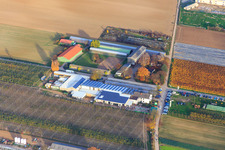 Marché fermier de Zapf à Kandel dans le département Rhénanie-Palatinat, Allemagne vue d'en haut