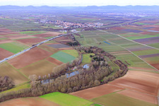 Vue aérienne de Étang à poissons de l'ASV Klares Wasser Inshein am Quodbach à Insheim dans le département Rhénanie-Palatinat, Allemagne