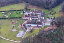 Vue aérienne de Pension pour chevaux au monastère de Liebfrauenberg à Bad Bergzabern dans le département Rhénanie-Palatinat, Allemagne