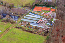 Vue aérienne de Courts de tennis et restaurant chez Bienwald et Waldhof-Frey GmbH à Steinfeld dans le département Rhénanie-Palatinat, Allemagne