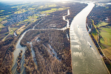 Vue aérienne de Auer Köpfle Illinger Altrheinauen à Au am Rhein dans le département Bade-Wurtemberg, Allemagne