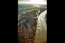 Photographie aérienne de Auer Köpfle Illinger Altrheinauen à Au am Rhein dans le département Bade-Wurtemberg, Allemagne