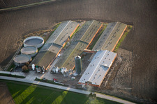 Vue aérienne de Oberlauterbach dans le département Bas Rhin, France