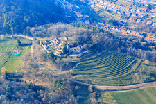 Vue aérienne de Château de Kropsburg à le quartier SaintMartin in Sankt Martin dans le département Rhénanie-Palatinat, Allemagne