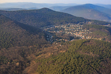 Vue aérienne de Quartier dans la forêt avec Bergsteinstr à le quartier Hambach an der Weinstraße in Neustadt an der Weinstraße dans le département Rhénanie-Palatinat, Allemagne
