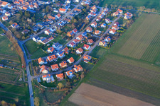 Vue aérienne de Dans le champ de pois à le quartier Mörzheim in Landau in der Pfalz dans le département Rhénanie-Palatinat, Allemagne