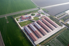 Vue aérienne de Écuries d'élevage Élevage de porcs pour la production porcine combiné avec des bassins d'élevage de poissons en Émilie-Romagne à Codigoro dans le département Ferrara, Italie