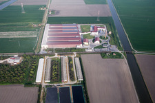 Photographie aérienne de Écuries d'élevage Élevage de porcs pour la production porcine combiné avec des bassins d'élevage de poissons en Émilie-Romagne à Codigoro dans le département Ferrara, Italie
