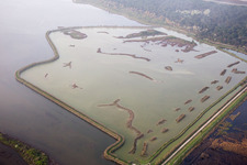Vue oblique de Casalborsetti dans le département Émilie-Romagne, Italie