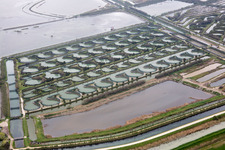 Pila dans le département Vénétie, Italie hors des airs