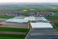 Vue oblique de Toits en verre dans les rangées de serres pour la culture de fleurs et dômes d'une usine de biogaz par Gartenbau Gernert à le quartier Oberspiesheim in Kolitzheim dans le département Bavière, Allemagne