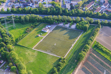Vue aérienne de Saule de Pentecôte à Pfingtsweide dans le département Rhénanie-Palatinat, Allemagne