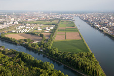 Vue aérienne de BASF Friesenheim à le quartier Neckarstadt-West in Mannheim dans le département Bade-Wurtemberg, Allemagne