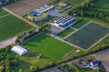 Vue aérienne de École Pestalozzi à Lampertheim dans le département Hesse, Allemagne