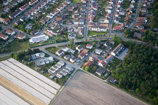 Vue aérienne de Chemin des bouleaux à le quartier Neuschloß in Lampertheim dans le département Hesse, Allemagne