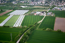 Photographie aérienne de Quartier Auerbach in Bensheim dans le département Hesse, Allemagne