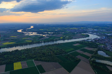 Vue aérienne de Courbe du Rhin à Hammer le soir depuis le sud à le quartier Hamm in Hamm am Rhein dans le département Rhénanie-Palatinat, Allemagne