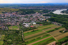Vue aérienne de École polyvalente intégrée An den Rheinauen à Oppenheim dans le département Rhénanie-Palatinat, Allemagne