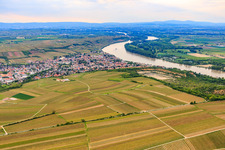 Vue aérienne de Vue de la ville entre les vignes et le Rhin depuis le sud à Nierstein dans le département Rhénanie-Palatinat, Allemagne