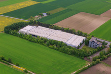Photographie aérienne de Dexheim dans le département Rhénanie-Palatinat, Allemagne