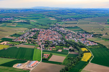 Vue aérienne de Bechtolsheim dans le département Rhénanie-Palatinat, Allemagne