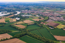 Vue aérienne de Vue du nord à le quartier Bobenheim in Bobenheim-Roxheim dans le département Rhénanie-Palatinat, Allemagne