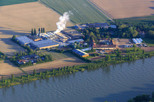 Vue aérienne de Usine Intersnack Deutschland SE à Petersau sur les rives du Rhin et école d'équitation Carlo von Opel au Demeter Hofgut Petersau à le quartier Mörsch in Frankenthal dans le département Rhénanie-Palatinat, Allemagne