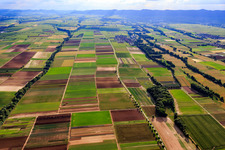 Vue aérienne de Champs à Modenbach, Hirschgraben et Brühlgraben à Freimersheim dans le département Rhénanie-Palatinat, Allemagne