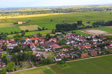 Vue aérienne de Rue Mandelberg à le quartier Duttweiler in Neustadt an der Weinstraße dans le département Rhénanie-Palatinat, Allemagne