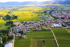 Vue aérienne de Vue de la ville depuis l'est à Kirrweiler dans le département Rhénanie-Palatinat, Allemagne