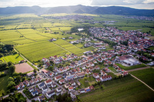 Photographie aérienne de (Palatinat) à Kirrweiler dans le département Rhénanie-Palatinat, Allemagne