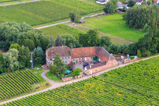 Vue aérienne de Domaine viticole Erlenmühle à Edesheim dans le département Rhénanie-Palatinat, Allemagne