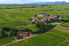 Vue aérienne de Eckel à Hainfeld dans le département Rhénanie-Palatinat, Allemagne