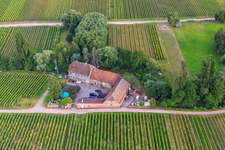 Vue oblique de Eckel à Hainfeld dans le département Rhénanie-Palatinat, Allemagne